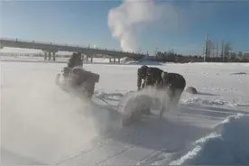 开始采冰造雪！黑龙江漠河打造北极冰雪盛宴图片