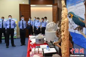 广东警方“飓风2020”行动打掉犯罪团伙2500余个图片