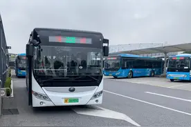 金山这条公交线路正式开通，金山人出行又有新选择图片
