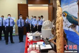 广东警方“飓风2020”行动打掉犯罪团伙2500余个图片