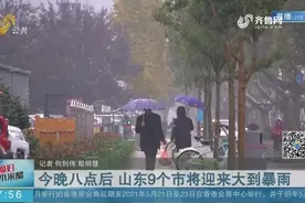 棉裤棉袄安排上！鲁南、鲁中、半岛有大到暴雨，气温最高直降10℃视频封面