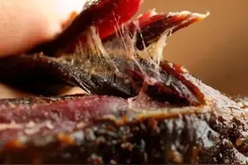 爱上科尔沁 | 草原香自牛肉干图片