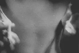 怕冷的女生看过来！比保暖内衣还要保暖的“内衣”，一件就=文胸+保暖衣+打底图片