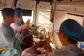 救护车上吃香蕉当事医生：超8小时滴水未进，不能倒在病人面前图片