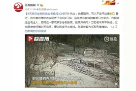 农家乐老板教唆金毛偷鸡300多只 失主：狗是聪明，可人不该干这事图片