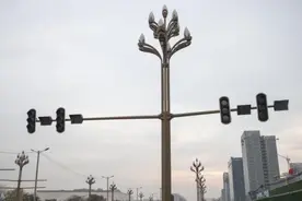 5G智慧路灯亮相光谷图片