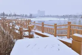 内蒙古多地迎来初冬降雪视频封面