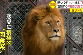 日本年轻女性不婚恋人数近年翻倍增长…"一个人实在太爽了！"图片