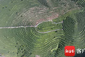 “中国天然氧吧”五指山市凭什么让你醉氧图片