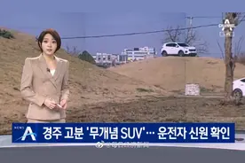 韩国男子开SUV上王室古墓最高判2年：以为是小土坡图片