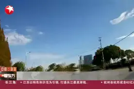 上海：司机驾车遇检出示未经审核海外驾照被拘视频封面
