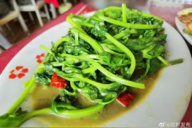 属于豌豆颠的季节来了你吃了吗？图片