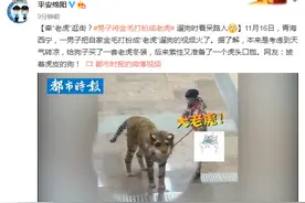 牵“老虎”逛街？男子将金毛打扮成老虎……遛狗时看呆路人图片