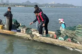 捕捞、电鱼……注意，禁渔区内这些行为，严打！视频封面