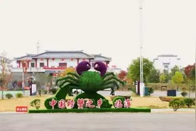 宿迁泗洪：“就地取材”为乡村旅游注入“源头活水”图片