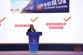“中欧e单通”：一年带动跨境融资近4000万美元丨2020中外名企四川行图片