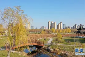 天津水西公园：为城市增添生态之美图片