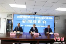 广西最大华侨农场成立60周年：荒原辟沃野 村落变新城图片