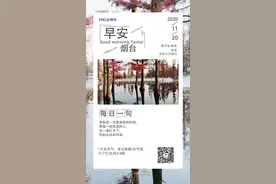 早安，烟台（11月20日）——烟台人自己的新闻早餐图片