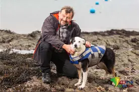 牧羊犬欲尝试畅游超长水域 堪比横渡英吉利海峡图片