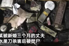 上海杀妻焚尸案爱犬救主冲入火海细节曝光 狗狗救主牺牲令人泪目图片