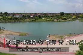 河北晋州：生态建设“绿”了城市“美”了生活视频封面