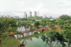 最新进展！珠海凤凰山山地步道香山湖示范段今日开放图片