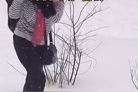 大雪过后东北大妈就地洗貂皮大衣，网友：这就是传说中的干洗？图片