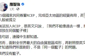 继“每个篮子都没你”后，“嘴硬”的蔡英文被骂得更“扎心”：我们没篮子图片