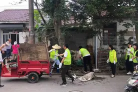 上海崇明入选全国文明城区，居民为身边事点赞：体验太棒了图片