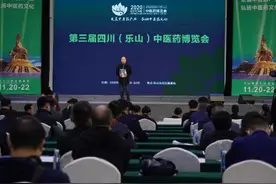 四川美食跷脚牛肉用的啥配方？第三届乐山药博会公开解密图片