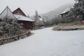银装素裹！城口黄安坝景区下雪了图片