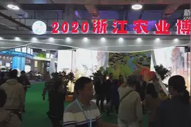 浙江农博会“上新了”视频封面