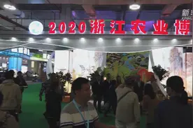 浙江农博会“上新了”视频封面