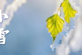 小雪天将寒，愿你三冬暖图片