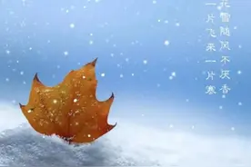 今日小雪丨冬天的第一顿火锅，安排上图片