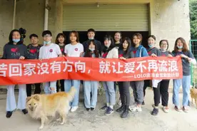 开饭啦！深圳流浪狗驿站的“毛孩子”收到了一千多斤免费狗粮图片