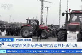 “外国的貂被杀了”刷屏！国内毛皮价格应声暴涨！有品种一度涨超40%！貂皮大衣却卖不动了……图片