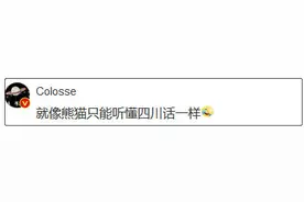厉害了！孟加拉白虎能听懂陕西话 网友帮点餐：来份凉皮图片