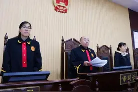 假借“车辆抵押借款”诈骗，德州恶势力集团头目获刑14年半图片