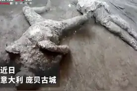 2000年前死于火山喷发的两具男子遗骸被发现，专家推测：一人是富翁，另一人是仆从图片