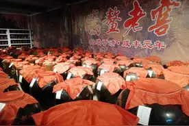 腾鳌老窖：得此百年佳酿 才敢说“诗和远方”图片