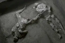 庞贝古城出土2000年前人类遗骸 或为一对避难的主仆视频封面