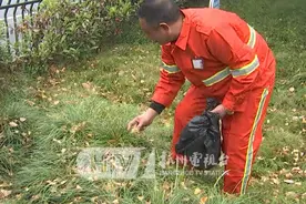 54岁环卫工银杏叶做花祝妻生日快乐，其妻：只有我有，贵过玫瑰图片