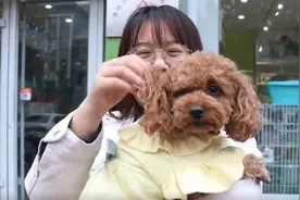 果然视频丨在德州如何办理狗证？记者为你实拍讲解……视频封面