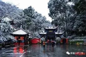 “冻”真格！美爆了！成都青城山迎来今冬首场降雪图片