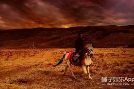 藏族帅哥丁真的小马开直播！腿短外八字只知干饭，马中顶流就这？图片