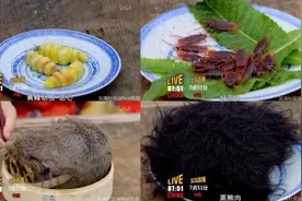 “武则天”吃蟑螂？醒醒，唐代饮食日常了解一下图片