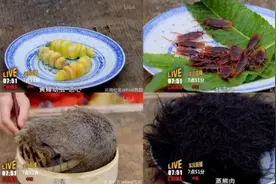 “武则天”吃蟑螂？醒醒，唐代饮食日常了解一下图片