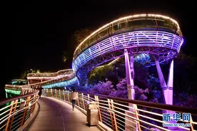 福建沙县：如画夜景激活夜经济图片
